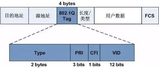 黄桃视频APP破解版的VLAN技术